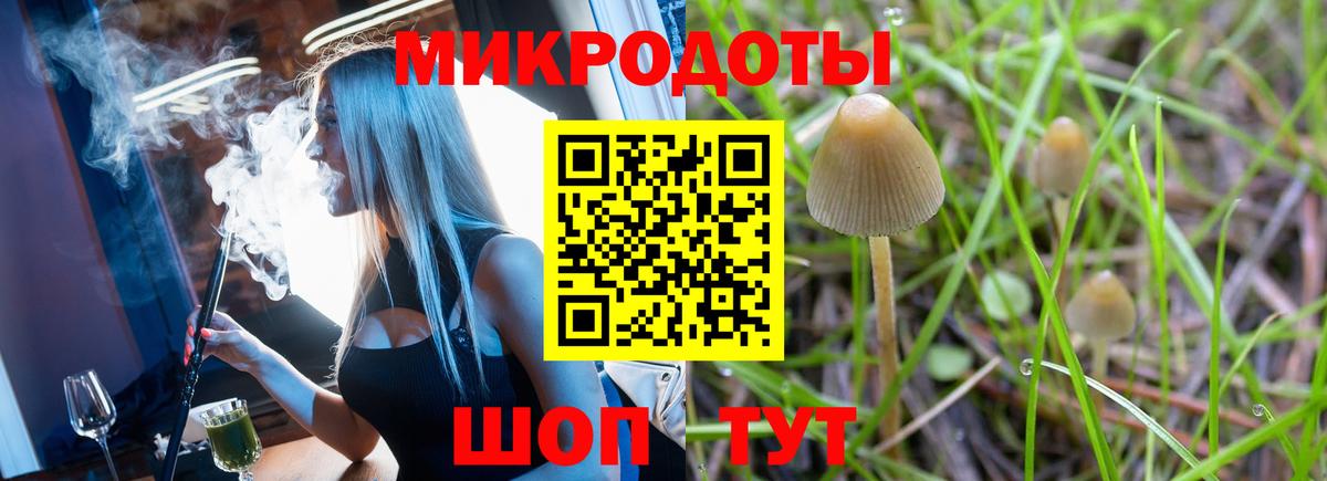 Майский  Псилоцибиновые грибы мицелий  Галлюциногенные грибы Psilocybine cubensis  Вход с VPN 
